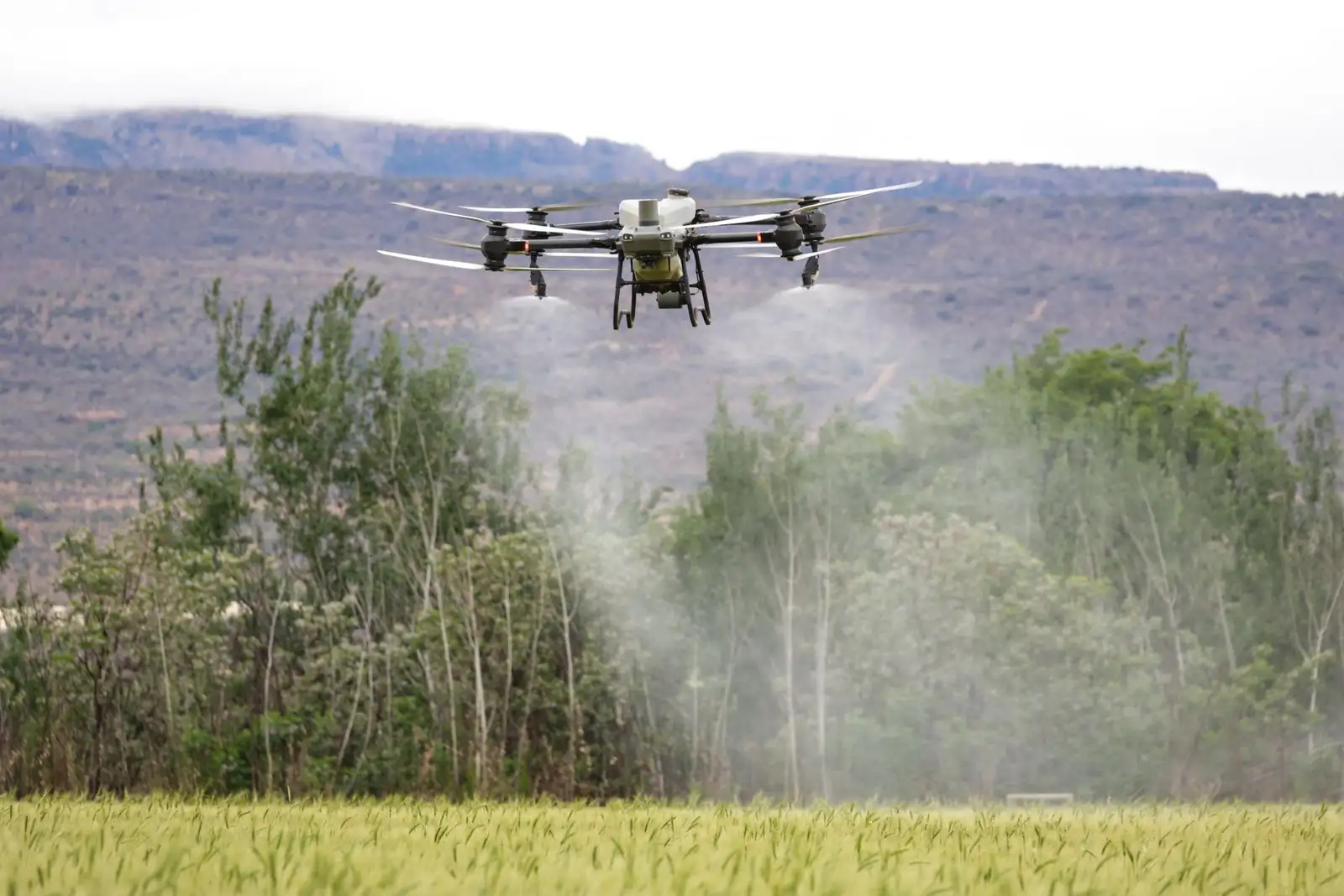 Maquinaria agrícola operando en campo de la agroindustria